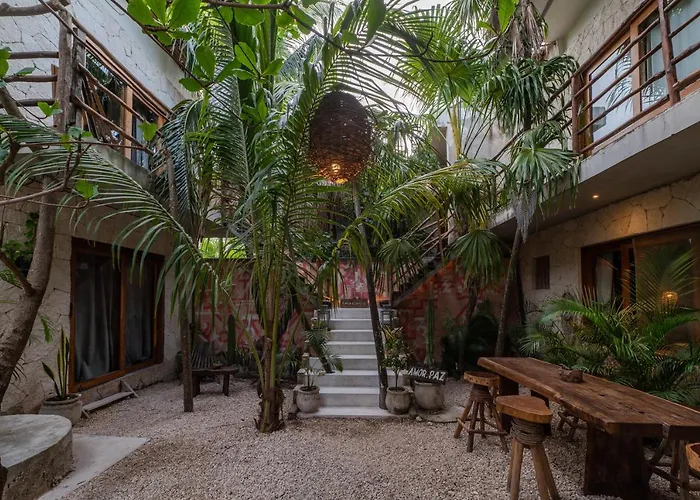 Casa Coyote 3*