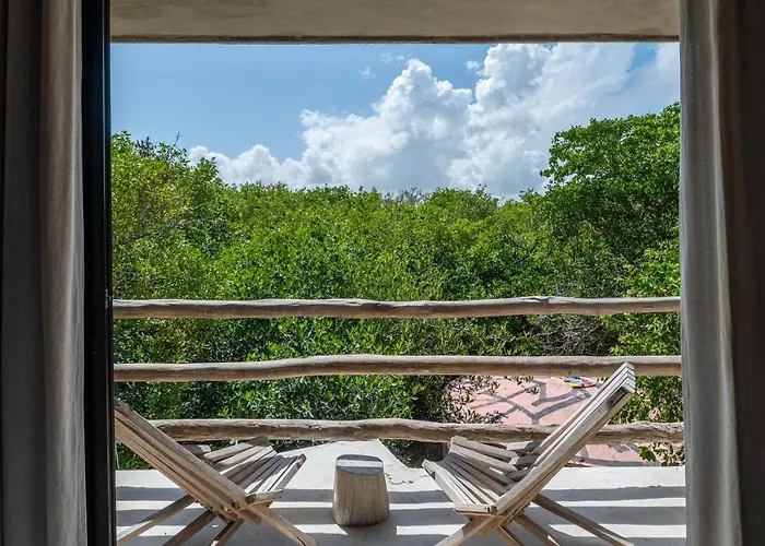 Casa Coyote