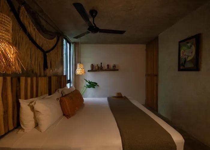 Casa Coyote 3*