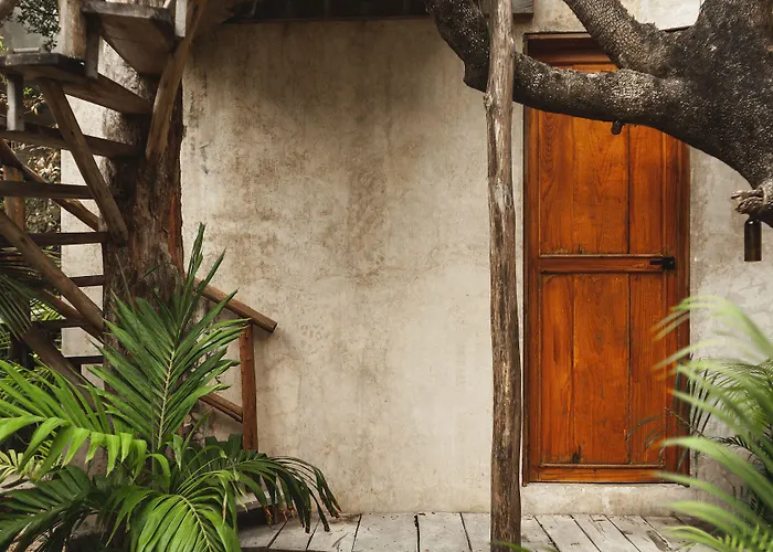 Hotel Casa Coyote