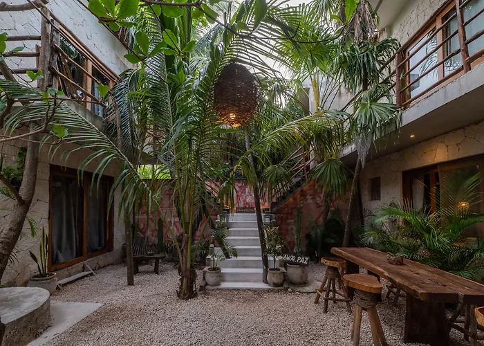 Casa Coyote Hotel 3*