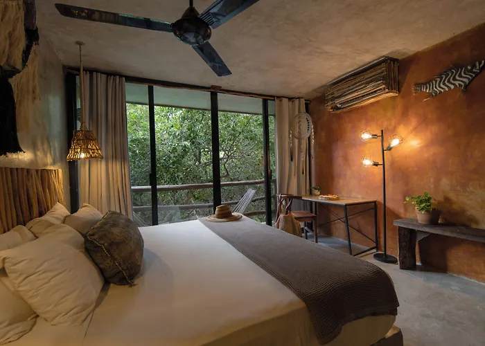 Casa Coyote 3*